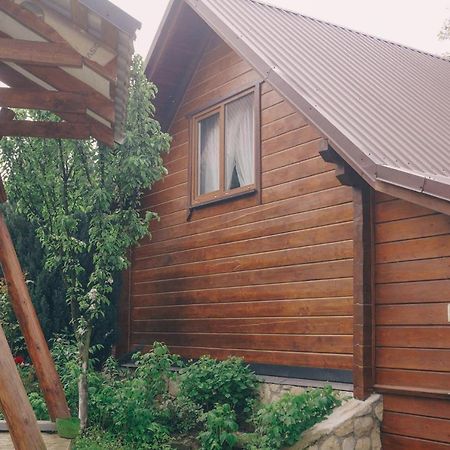 Будиночок В Карпатах Yaremtche Extérieur photo
