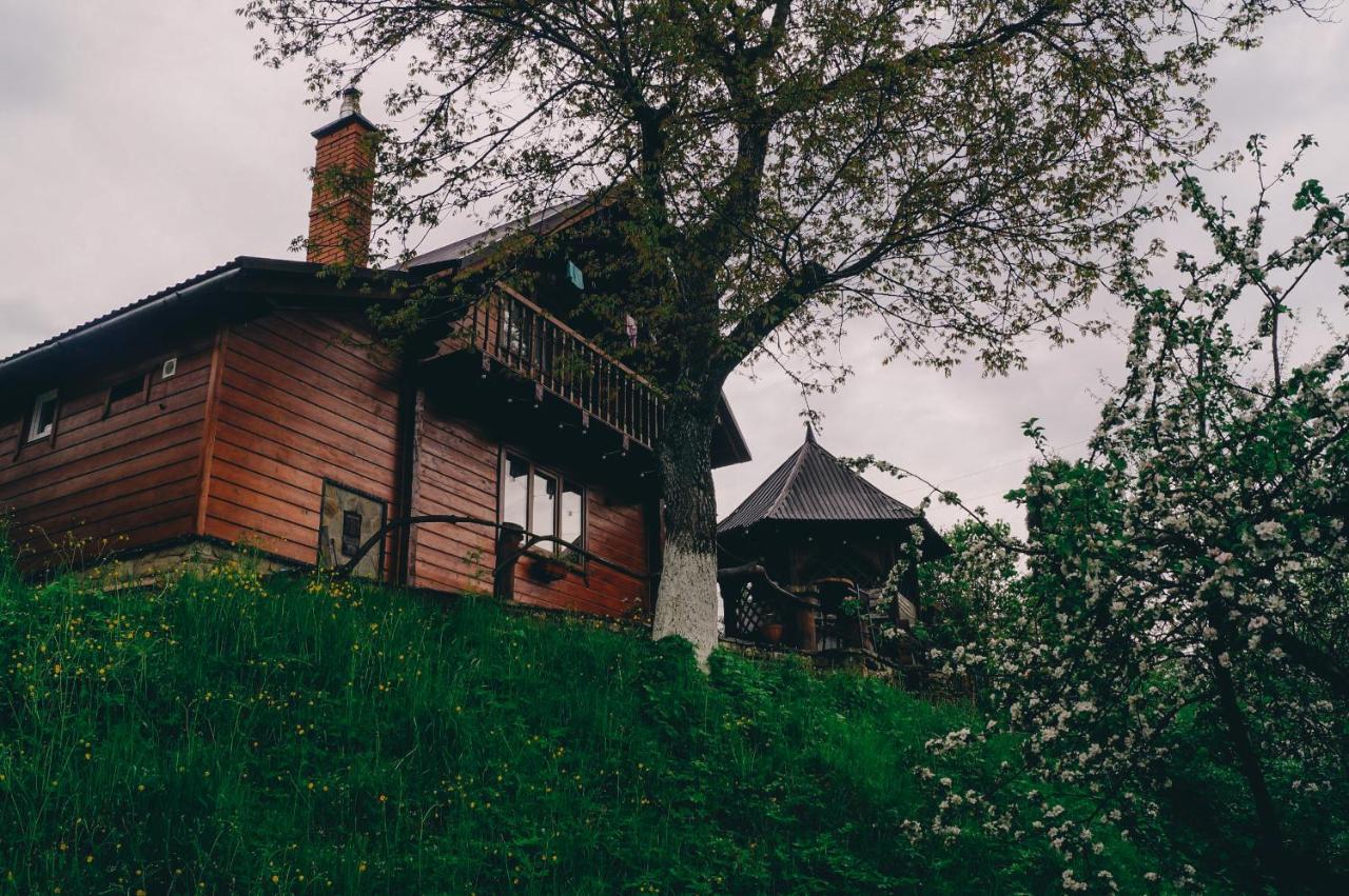 Будиночок В Карпатах Yaremtche Extérieur photo
